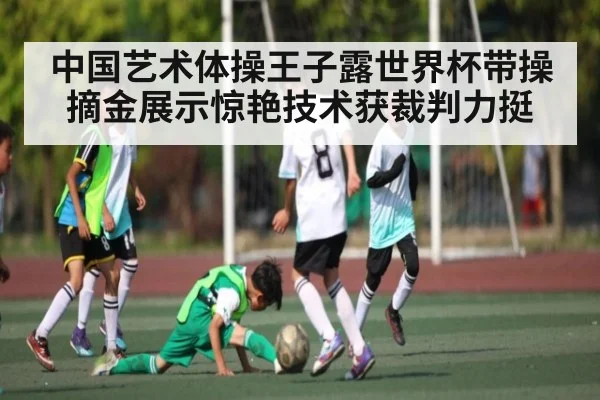 中国艺术体操王子露世界杯带操摘金展示惊艳技术获裁判力挺