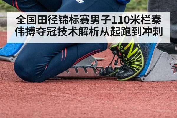 全国田径锦标赛男子110米栏秦伟搏夺冠技术解析从起跑到冲刺